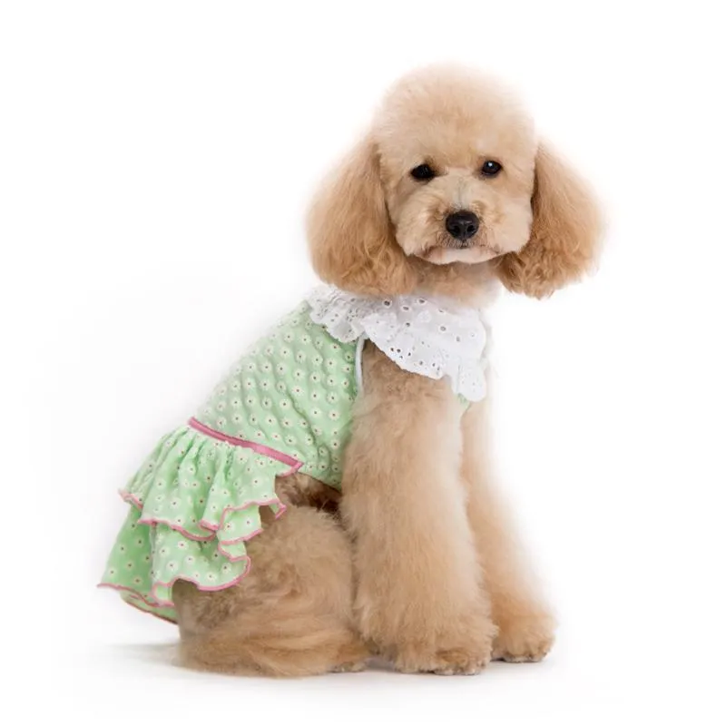 Little Flower Dog Dress