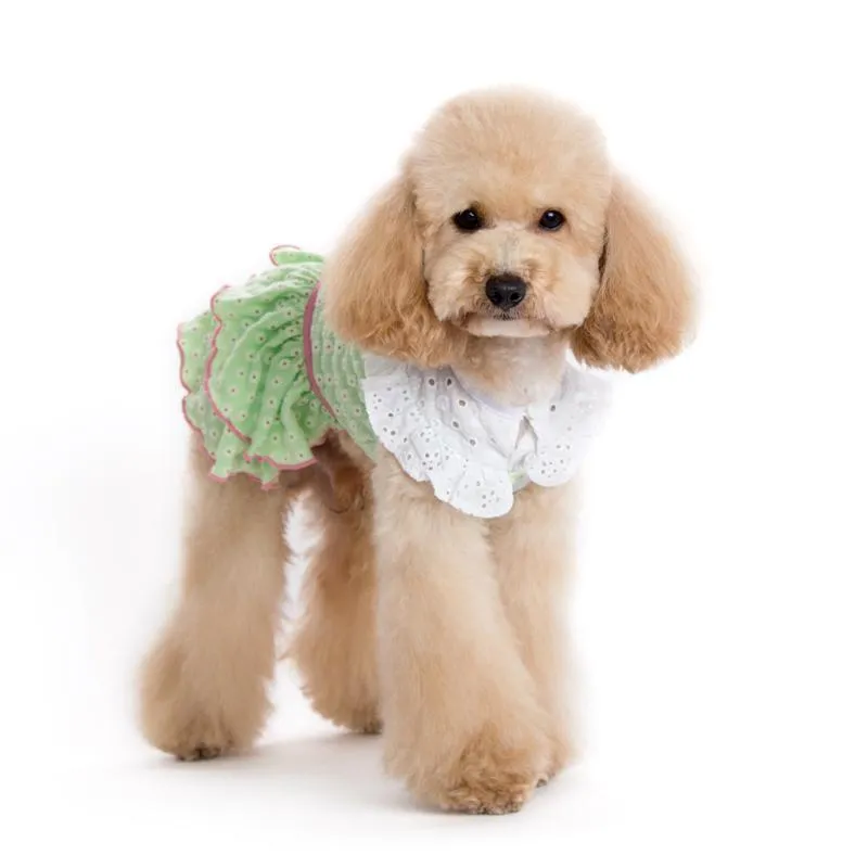Little Flower Dog Dress
